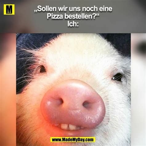 lustig bilder zum lachen|lustige bilder am tag.